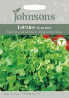See more information about the Johnsons Lettuce Salad Bowl Seeds