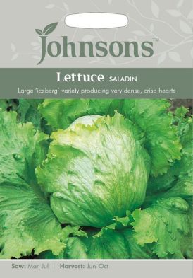 Johnsons Lettuce Saladin Seeds