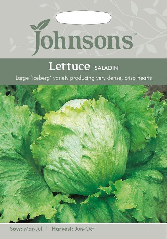 Johnsons Lettuce Saladin Seeds