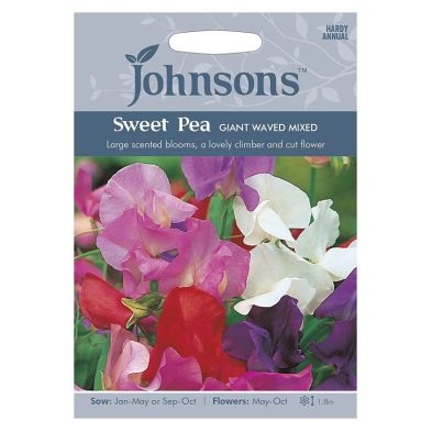 Image of Johnsons Sweet Pea Giant Waved Mi Seeds
