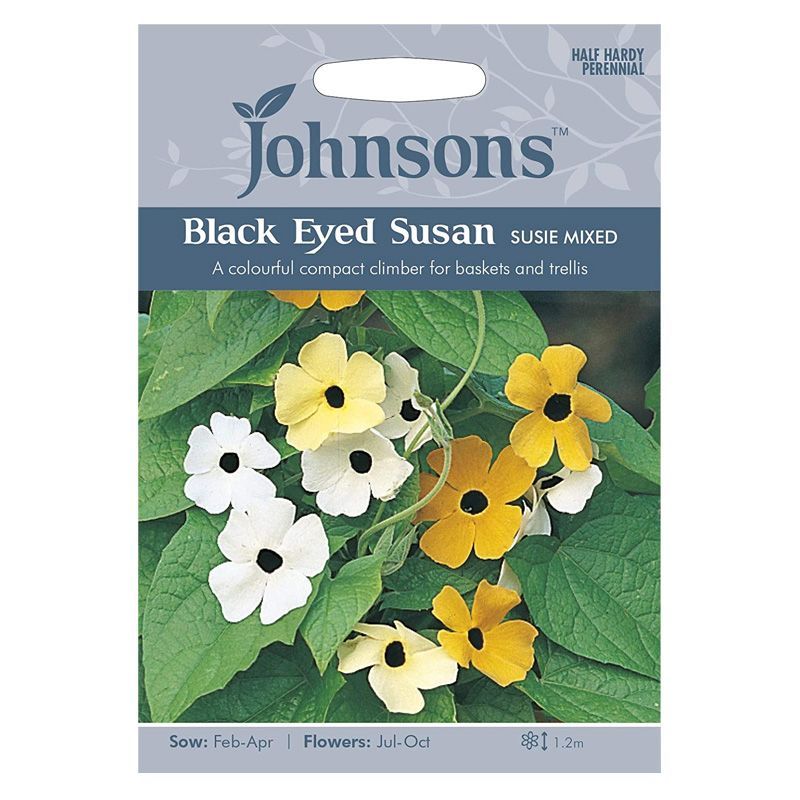 Johnsons Black Eyed Susan Susie M Seeds