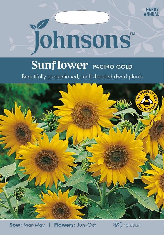Johnsons Sunflower Pacino Gold Seeds