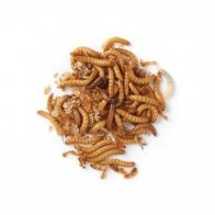 See more information about the Bag of Dried Mealworms 1kg Birdfood