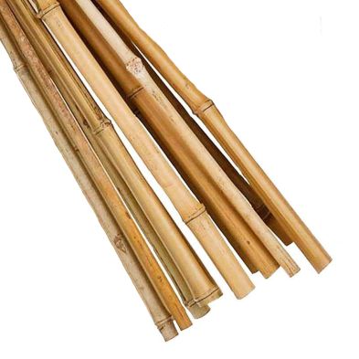 Image of 10 Pack 6 Foot Garden Canes