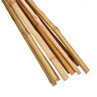 See more information about the 8 Pack 7 Foot Garden Canes