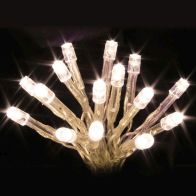 See more information about the 20 LED Warm White Indoor Fairy Festive Lights Battery 2m