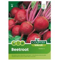 See more information about the Country Value Beetroot Perfect 3 Seeds