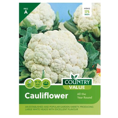 Image of Country Value Cauliflower All the Year Seeds