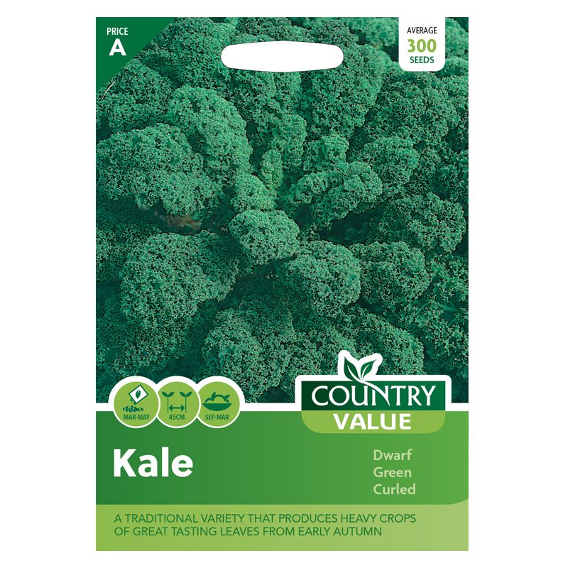 Country Value Kale Dwarf Green Curled Seeds