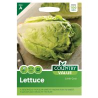 See more information about the Country Value Lettuce Little Gem Seeds