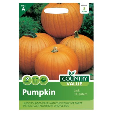 Country Value Pumpkin Jack O'Lantern Seeds
