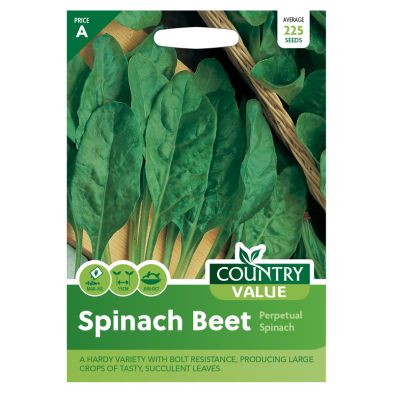 Country Value Spinach Beet Perpetual Seeds