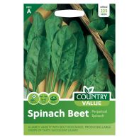 See more information about the Country Value Spinach Beet Perpetual Seeds