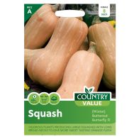 Country Value Squash Winter Butternut Seeds