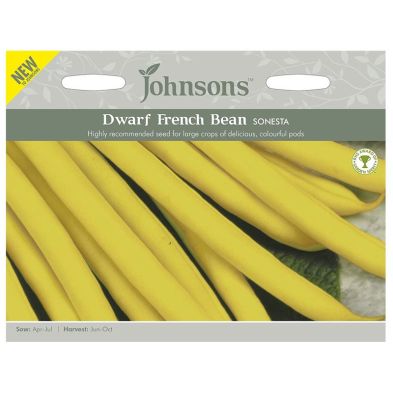 Johnsons Dwarf French Bean Sonesta Seeds
