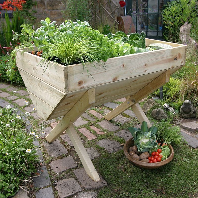 Vegetable Garden Bed 1M
