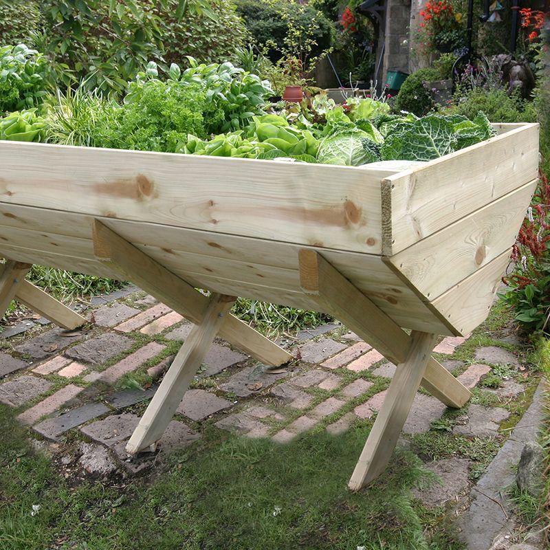 Vegetable Garden Bed 2M