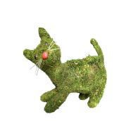 See more information about the Moss Cat Planter