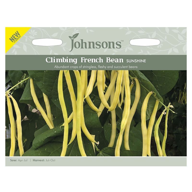 Johnsons Climbing French Bean Sunshine Seeds