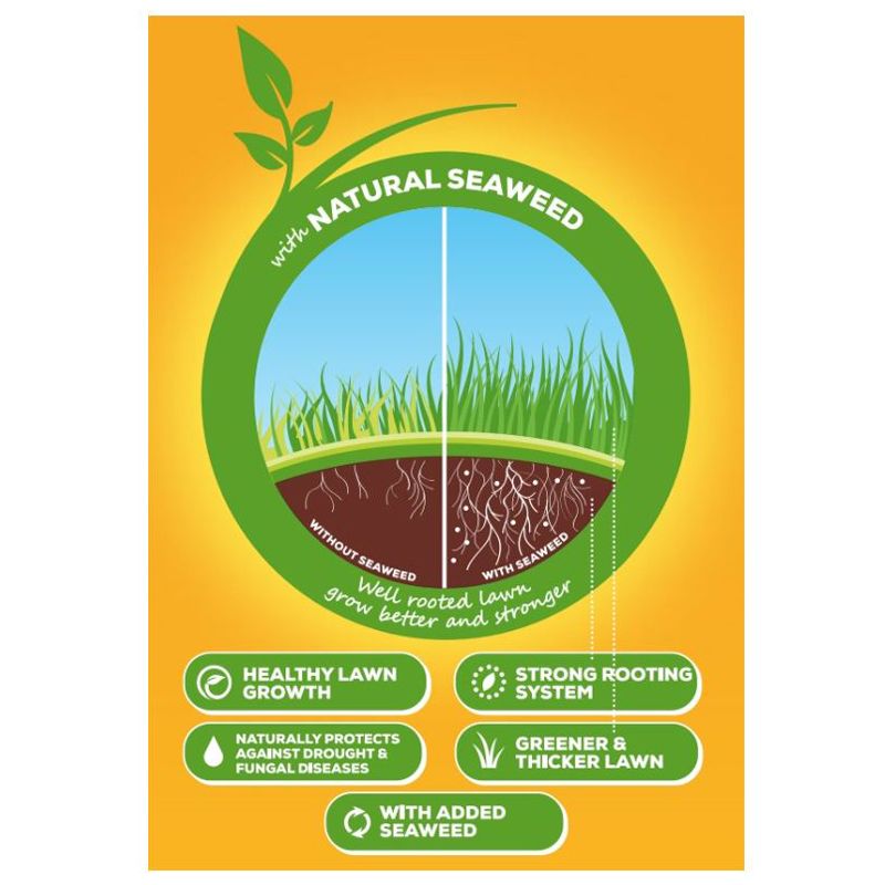 Buy Solabiol Top Lawn Long Lasting Feed 3.5kg - Online at Cherry Lane