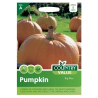 See more information about the Country Value Pumpkin Big Max Seeds