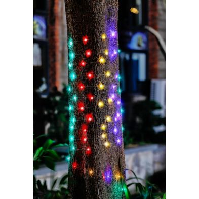 See more information about the Solar Garden String Lights Decoration 100 Multicolour LED - 12.9m by Bright Garden