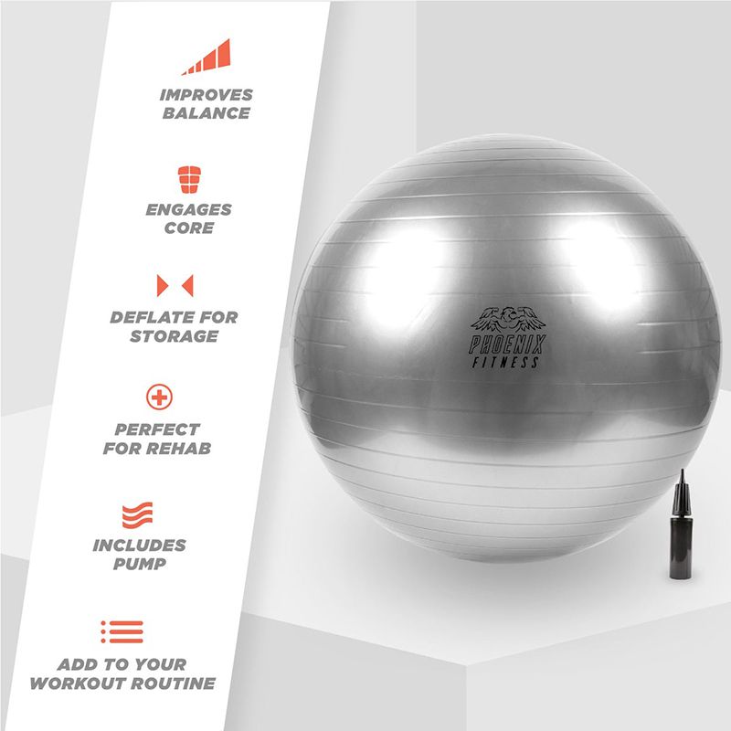 Fitness Ball Anti Burst 65cm With Pump