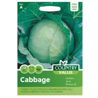 See more information about the Country Value Cabbage Golden Acre Seeds