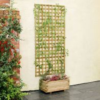 See more information about the 3x County Garden Planter Trellis 3ft  by Zest
