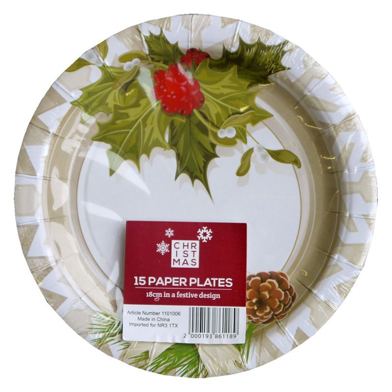 Small Christmas Paper Plates 15 Pack - Holly Design