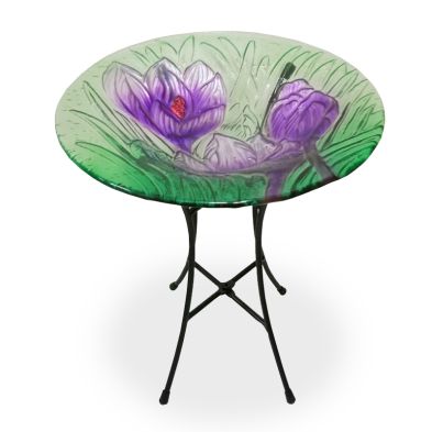 See more information about the Glass Bird Bath With Stand - Purple Crocus