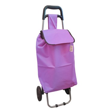 See more information about the Purple Shopping Trolley
