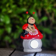 See more information about the Ladybird Solar Garden Light Ornament Decoration White LED - 15cm by Bright Garden