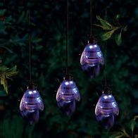 See more information about the Purple Bee Solar Garden Light Ornament Decoration 6 White LED - 16cm by Bright Garden
