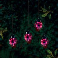 See more information about the Red Ladybird Solar Garden Light Ornament Decoration 6 White LED - 16cm by Bright Garden