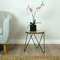 See more information about the Wensum Hairpin Side Table