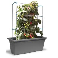 See more information about the Gardenico Self-Watering Mobile Living Wall Kit - 80cm - Stone Grey