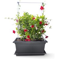 See more information about the Gardenico Self-Watering Mobile Living Wall Kit - 100cm - Anthracite
