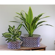 See more information about the 2x Planter Ceramic Blue & White with Geometric Pattern