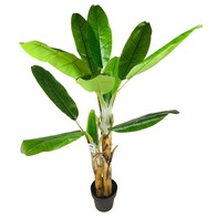 See more information about the Banana Tree Artificial Plant Green - 140cm