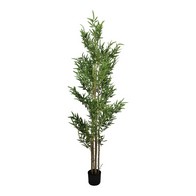See more information about the Bamboo Tree Artificial Plant Green - 220cm