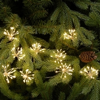 See more information about the Starburst Fairy Christmas Lights Animated Warm White Outdoor 400 LED - 5.7m 