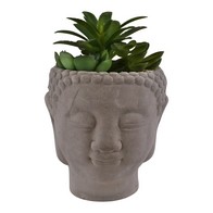 See more information about the Buddha Faux Succulent Cement Grey - 17cm