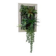 See more information about the Frame Faux Succulent Wood Wall Mounted - 30cm