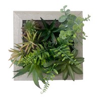 See more information about the Frame Faux Succulent Wood Wall Mounted - 20cm