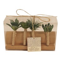See more information about the 4x Succulent Napkin Ring Jute - 9cm