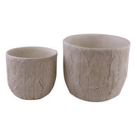 See more information about the 2x Planter Cement with Embossed Leaf Pattern