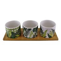See more information about the Meze Set Ceramic & Wood White with Fern Pattern - 31cm