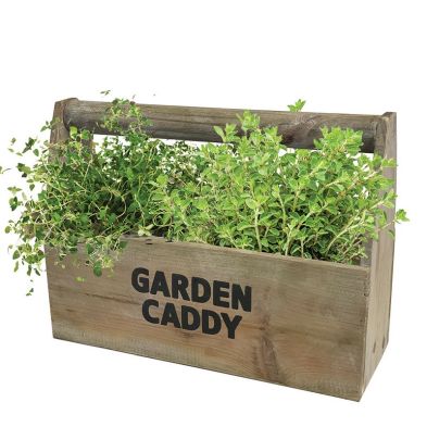 See more information about the Wooden Garden Herb Caddy Set With Oregano And Thyme